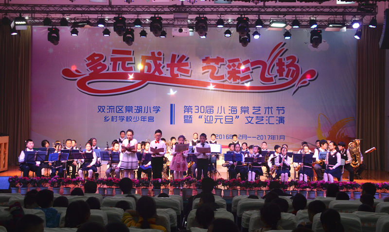 海棠熠熠迎新年——棠湖小学第30届小海棠艺术节暨迎元旦文艺汇演取得