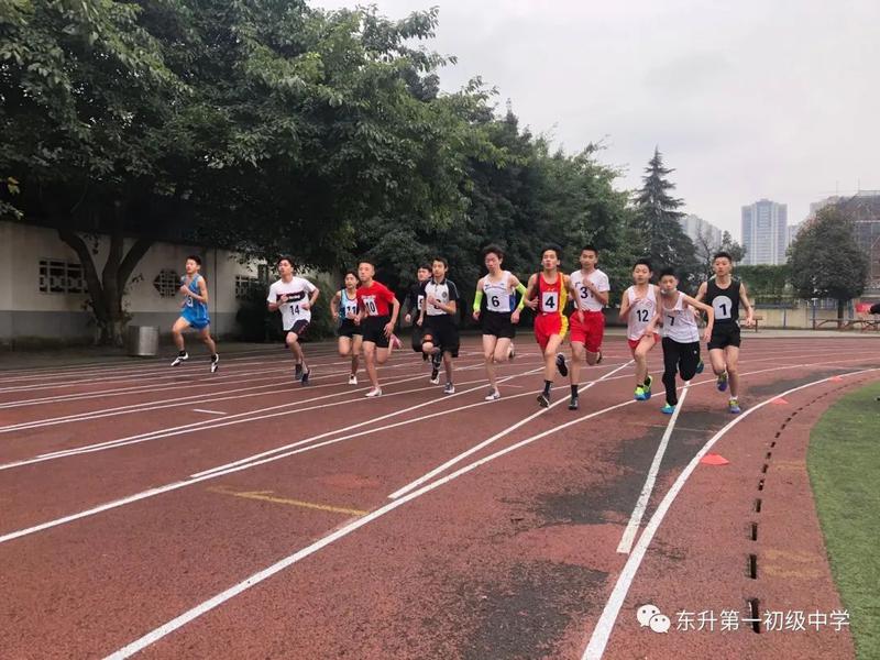 东升一中在双流区第三十届中小学生田径运动会荣获各类奖项