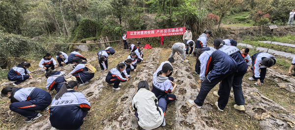 三线 (4)