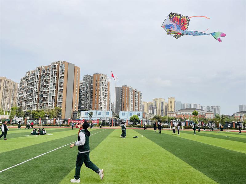 风筝 (22)