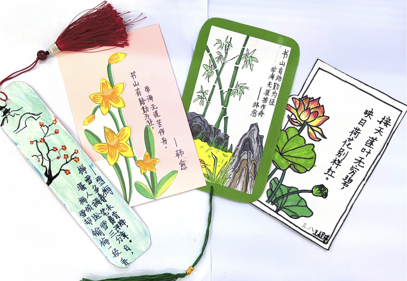 图片12