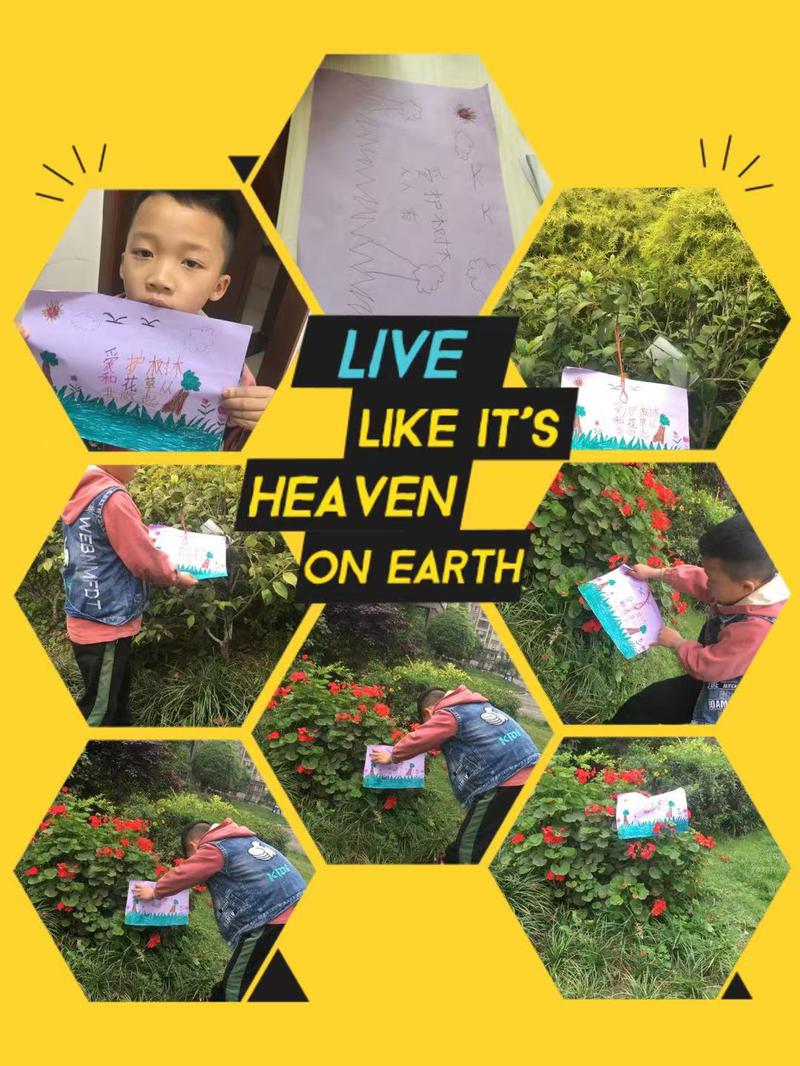 我为绿地守护美19
