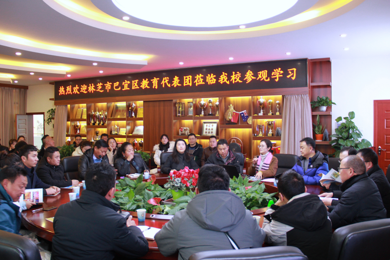 图片6