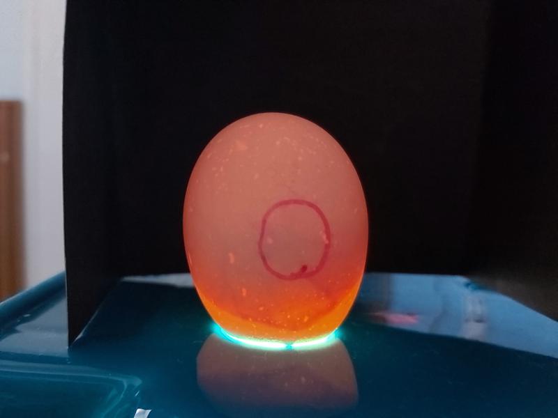 20210428_102347
