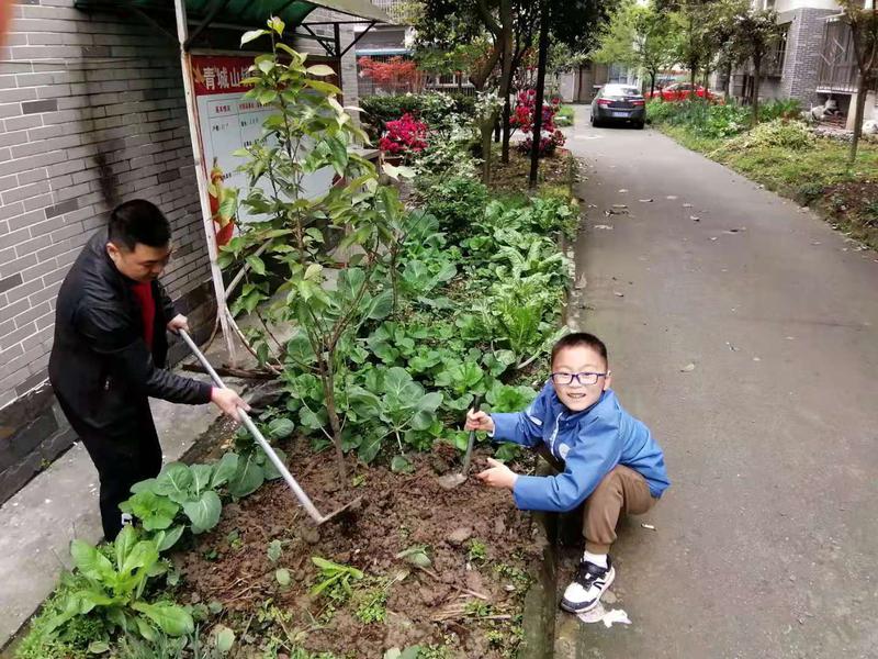 我为地球种棵树1
