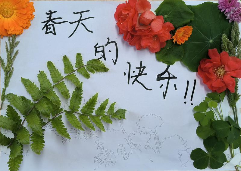 校园漫步·自然心语录2