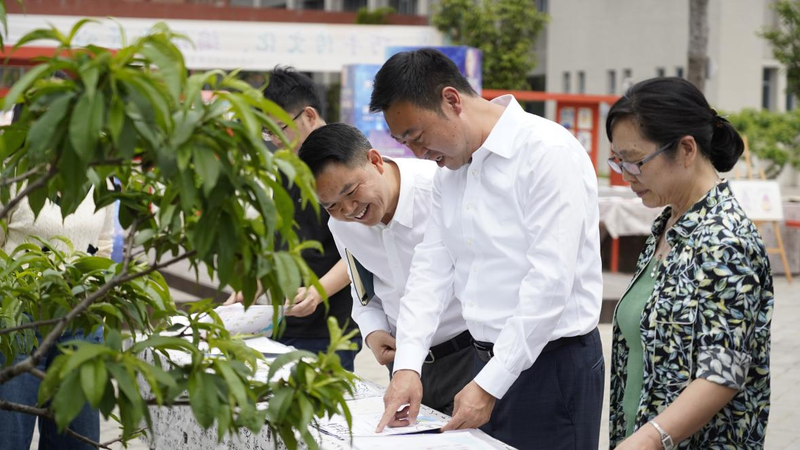 图片13