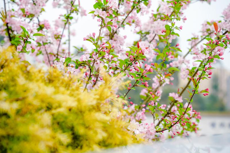 DSC00191-8