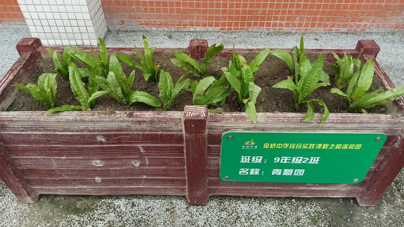 成果1