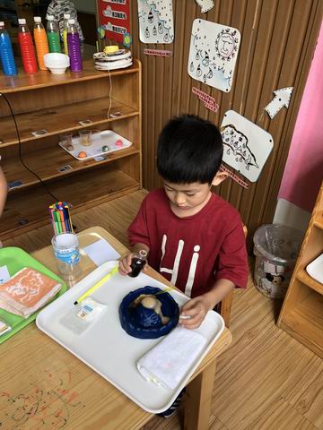 调整大小 旋转 11362490