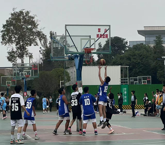 图片8