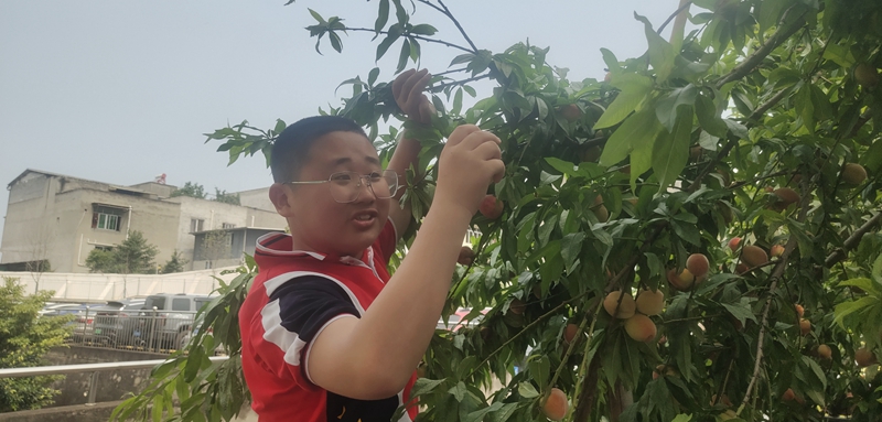 微信图片_20230531133745