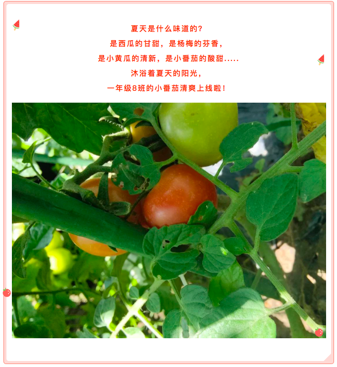 屏幕快照 2023-06-26 上午8