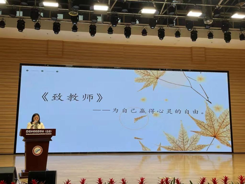 图片8