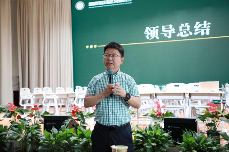 图片十一