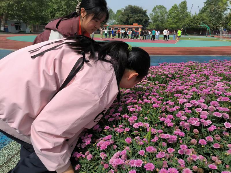 校园漫步·自然心语录1