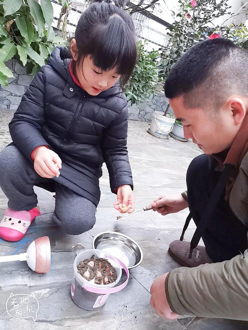 微信图片_20191206102527