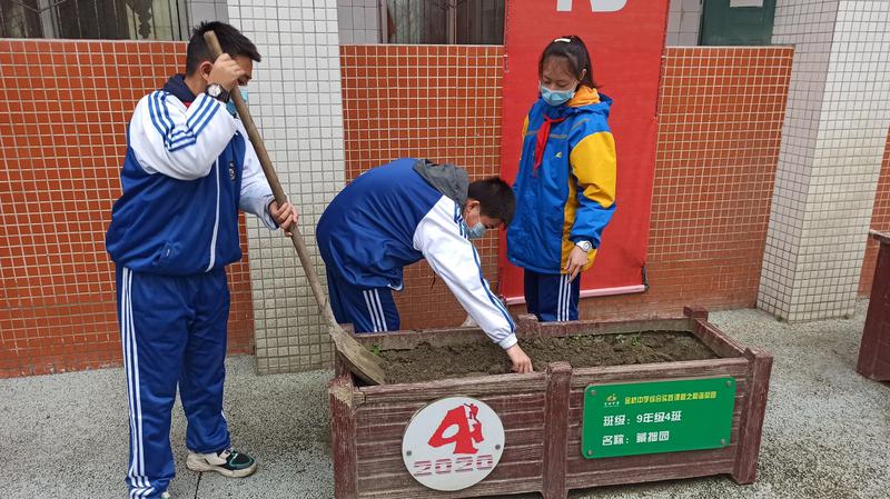 松土1
