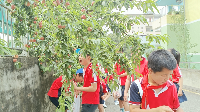 微信图片_20230531140316