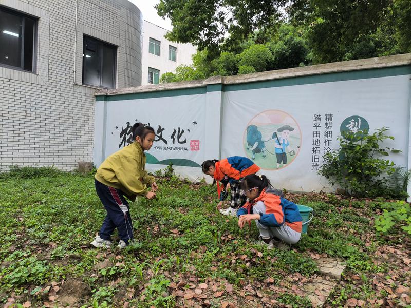 校园春耕·希望种子播